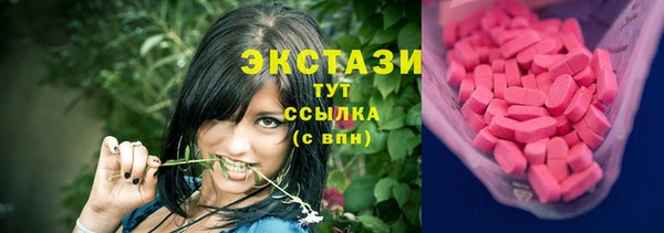 гидра Кулебаки