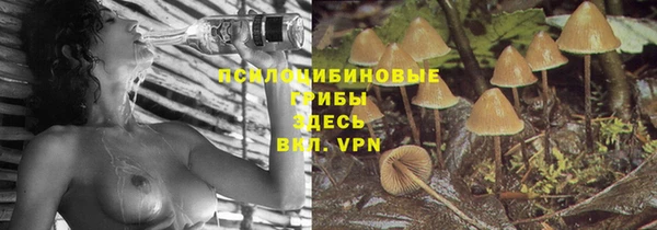 jwh Кукмор