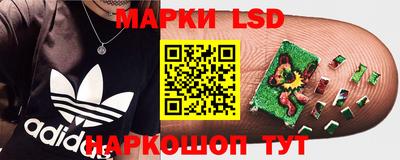 ПСИЛОЦИБИНОВЫЕ ГРИБЫ Гусиноозёрск