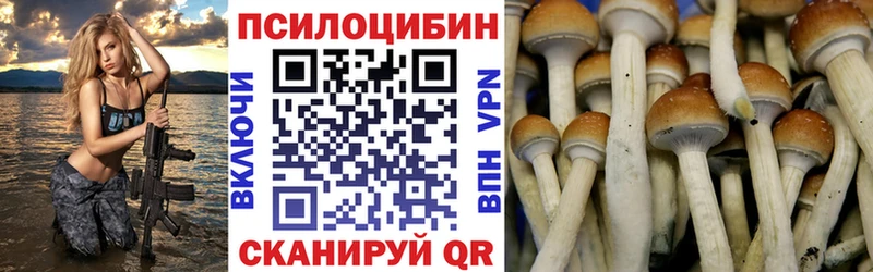 Галлюциногенные грибы Psilocybine cubensis  цена   Подольск 
