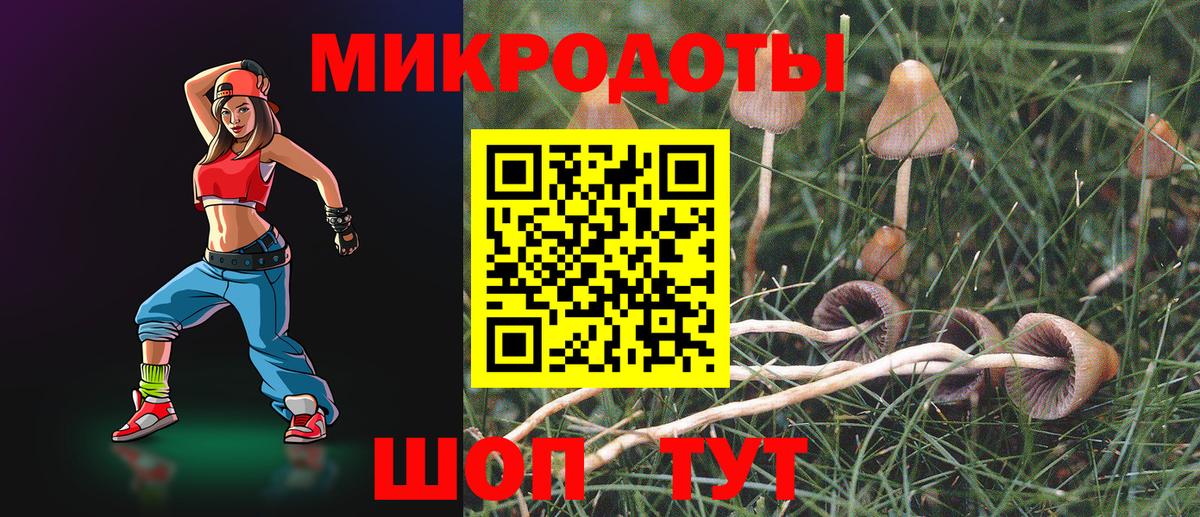 Подольск  хочу   Вход с VPN  Галлюциногенные грибы мухоморы 
