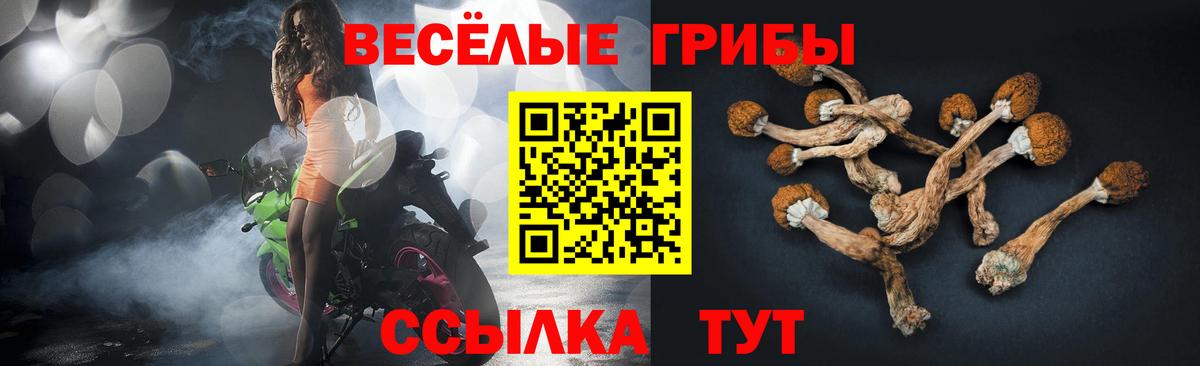Галлюциногенные грибы Magic Shrooms Подольск
