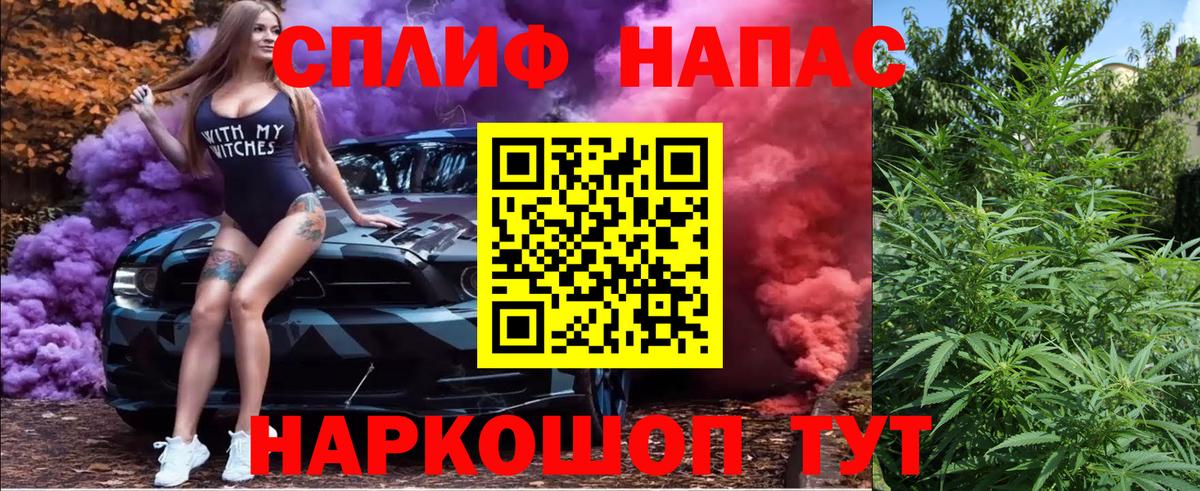 Конопля конопля  Шишки марихуана план  Подольск  Вход с VPN  Канабис MAZAR 